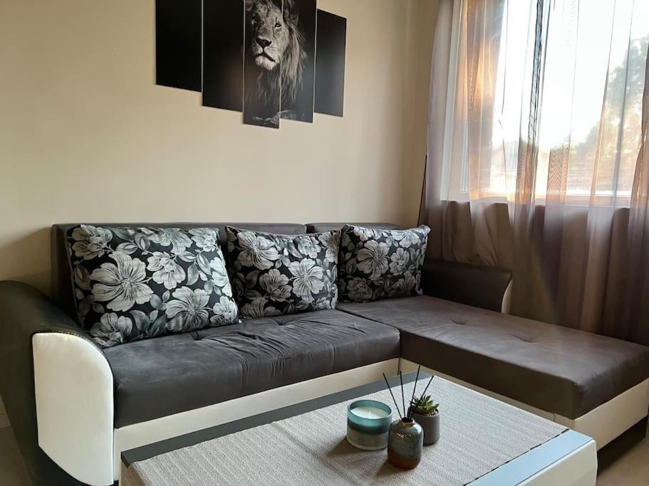 Sof Apartment'S Σόφια Εξωτερικό φωτογραφία